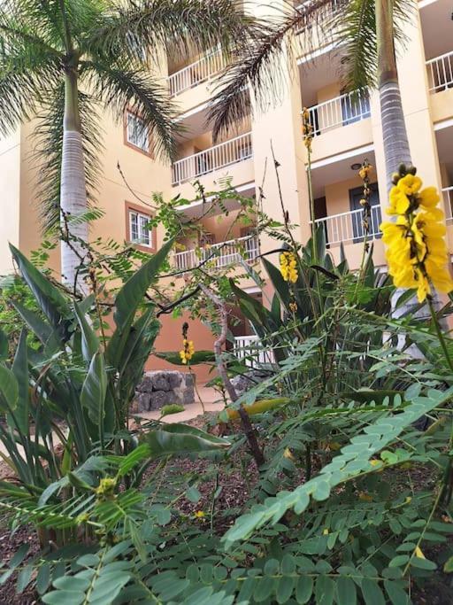 Tropical Apartment - Heated Pool Palm-mar Extérieur photo